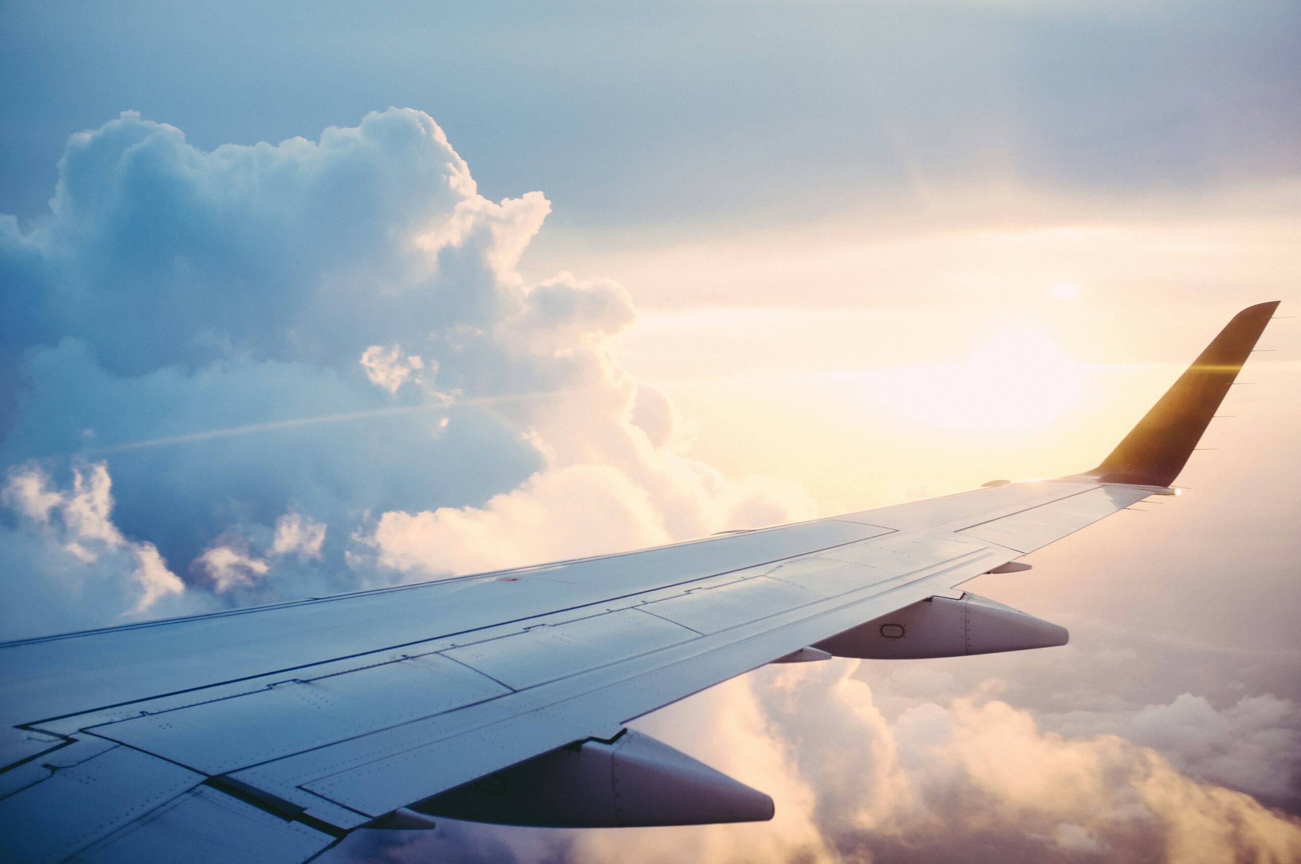 flight